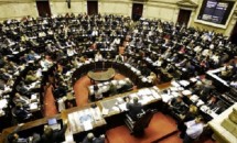 Solanas: "El Gobierno tiene que trabajar leyes que terminen con el sufrimiento de las mujeres".