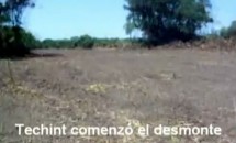 El desmonte en la costa de Avellaneda y Quilmes