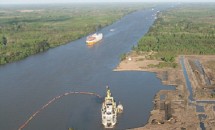 Humedales del Delta: ¿Punto final y obediencia debida?, por Germán José Margaritini.