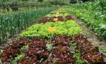 Cambio de modelo - Transición a la agroecología.