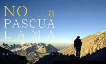 No a Pascua Lama